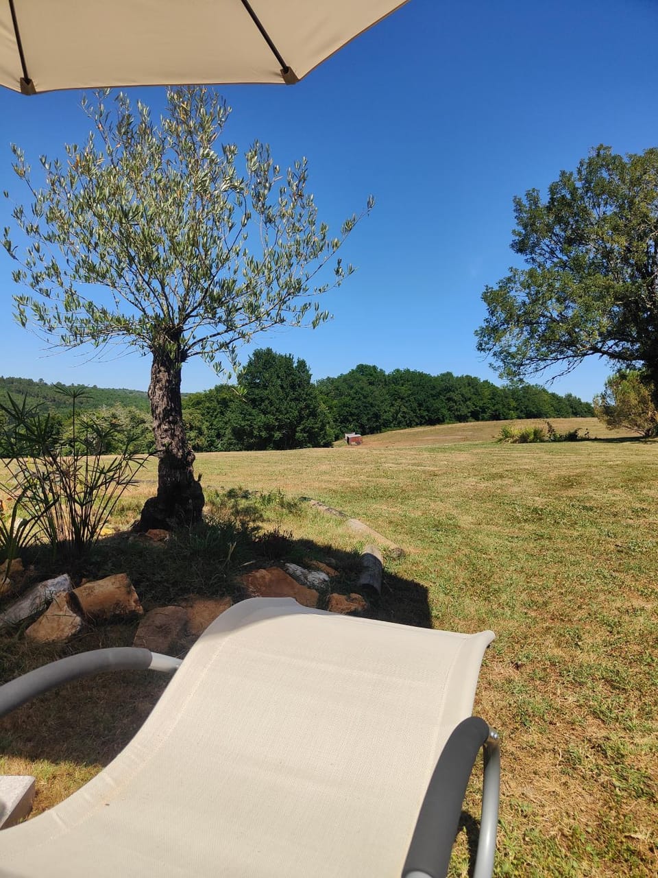 Les Gîtes de JueVince House in Occitanie