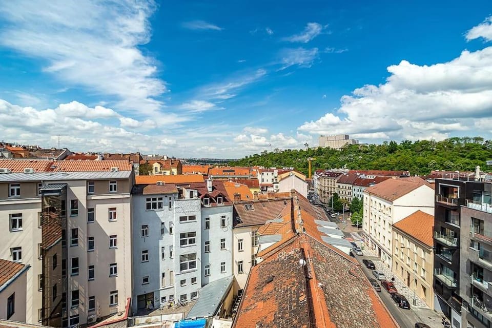 3 bedroom flat with amazing terrace Apartment in Prague