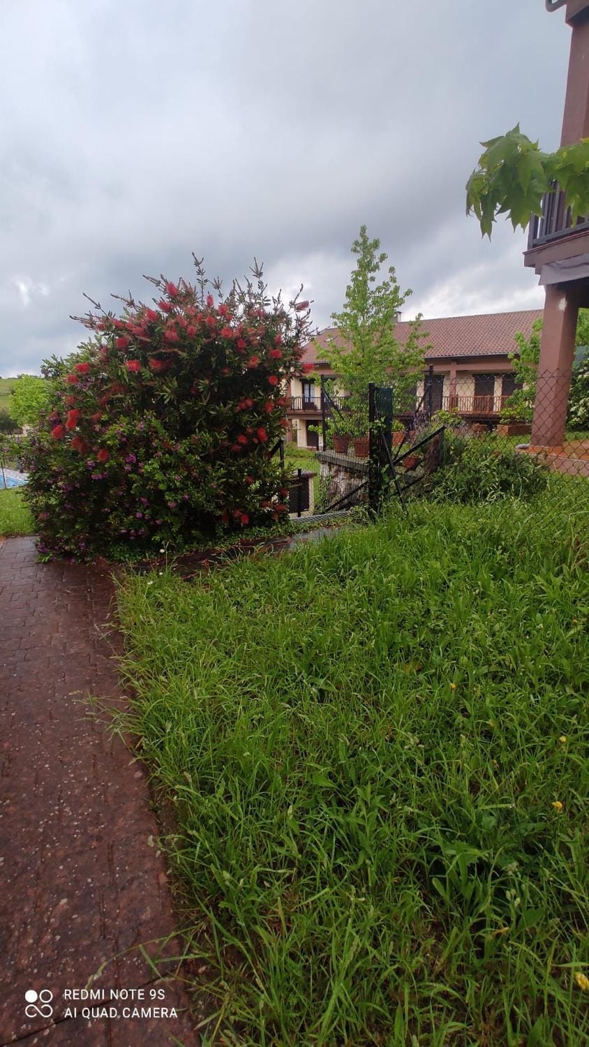 Property building, Natural landscape, Garden, Garden