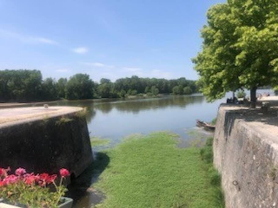 Le Domremy F2 au cœur d'Orléans Apartment in Orléans