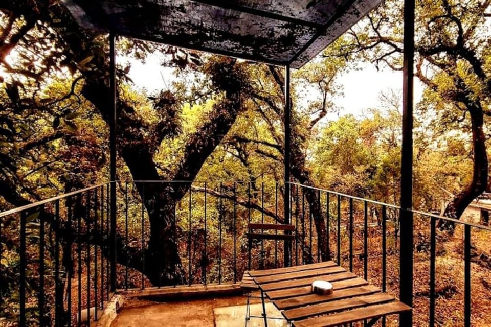 The Red Cabin at the bottom of Tepoztlán's Forest Cabin in State of Morelos