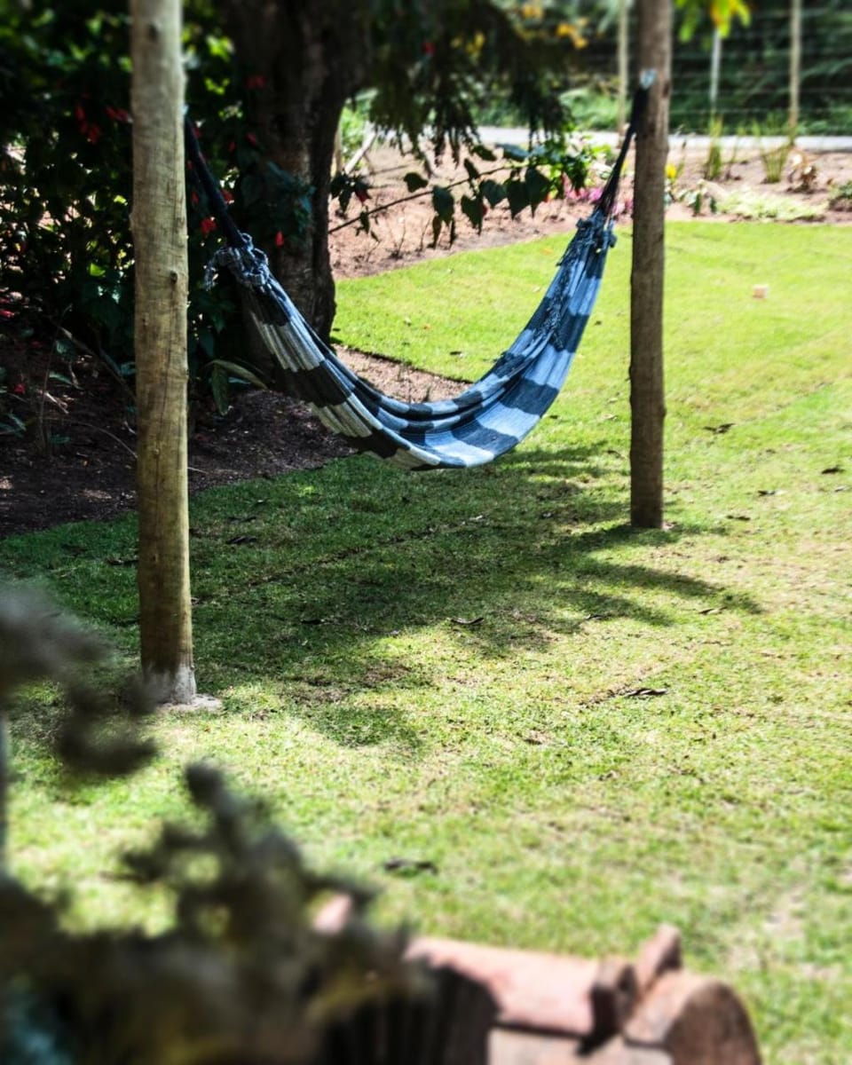 Natural landscape, Garden, Garden view