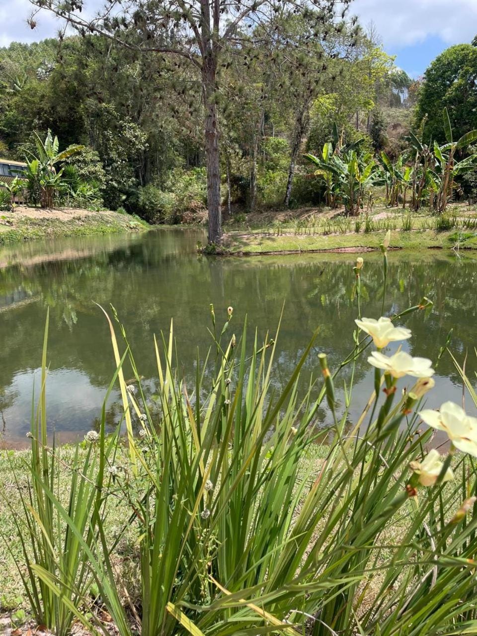 Lake view