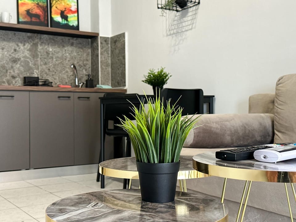 Kitchen or kitchenette, Living room, Seating area