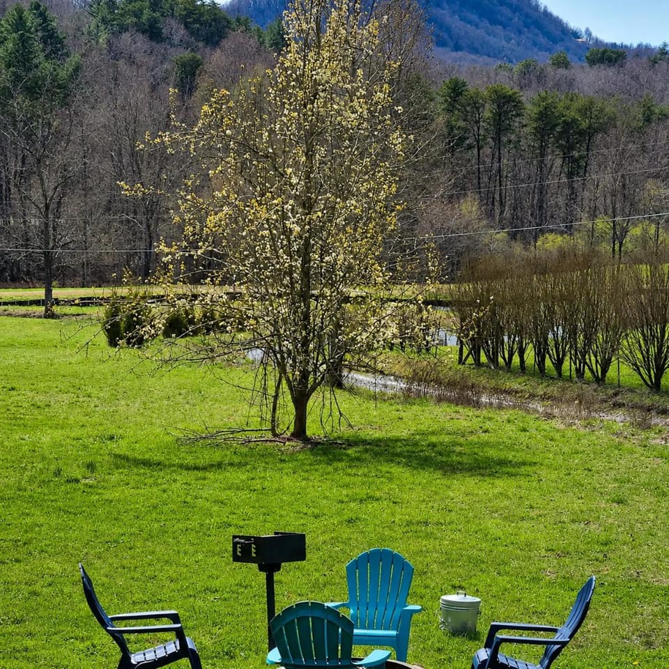 Cozy Cottage with Full View of the Mountains! House in Georgia