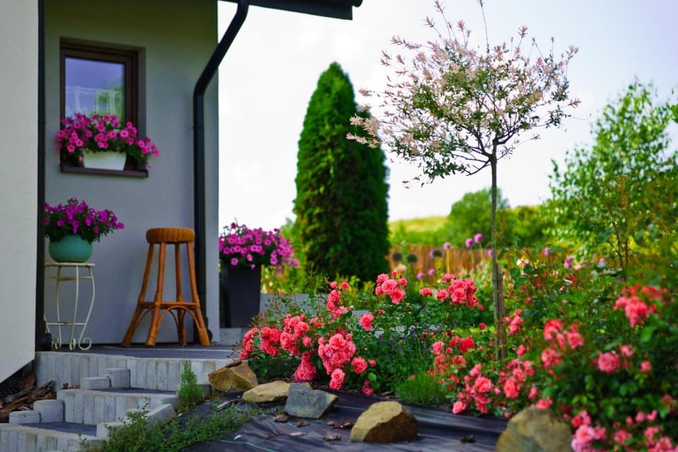 Domek Zacisze Villa in Slovakia