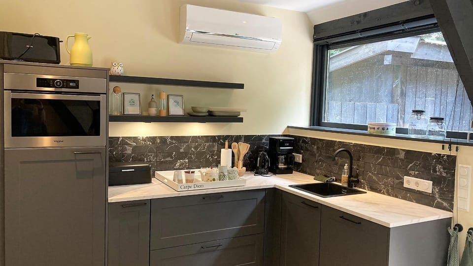Coffee/tea facilities, Kitchen or kitchenette, dishwasher, minibar, pet friendly, stove, toaster, air conditioner