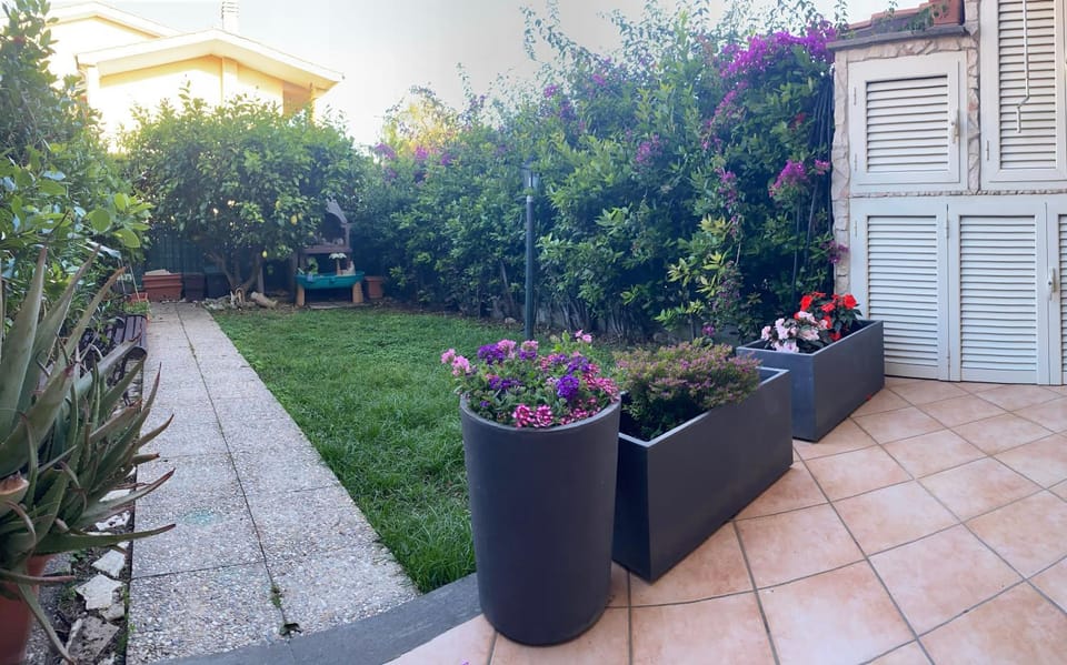 Garden, Garden view