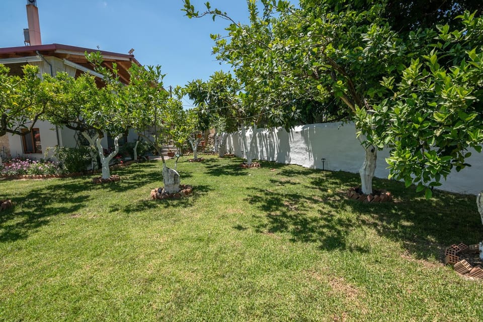 Natural landscape, Garden, Garden view