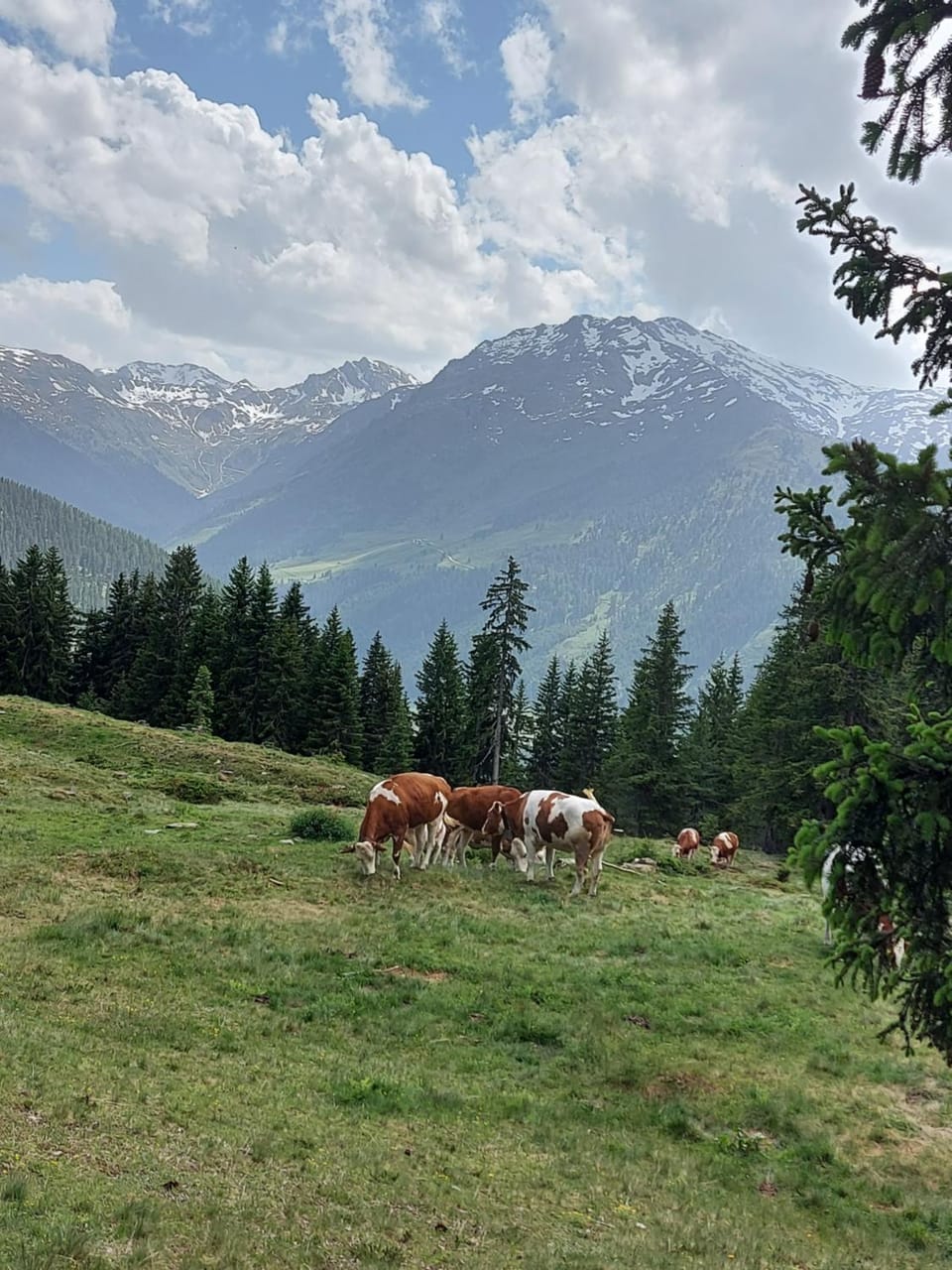 Hiking