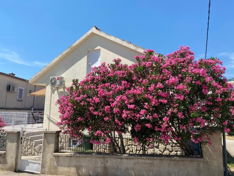 APARTMAN ROVANJSKA Apartment in Zadar County