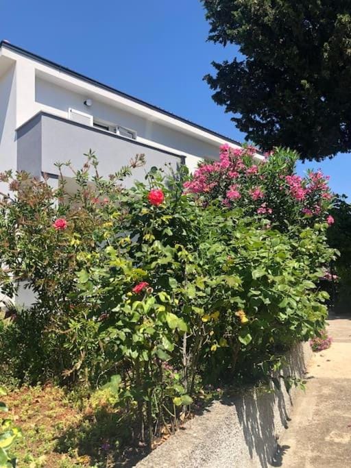 Property building, Garden view
