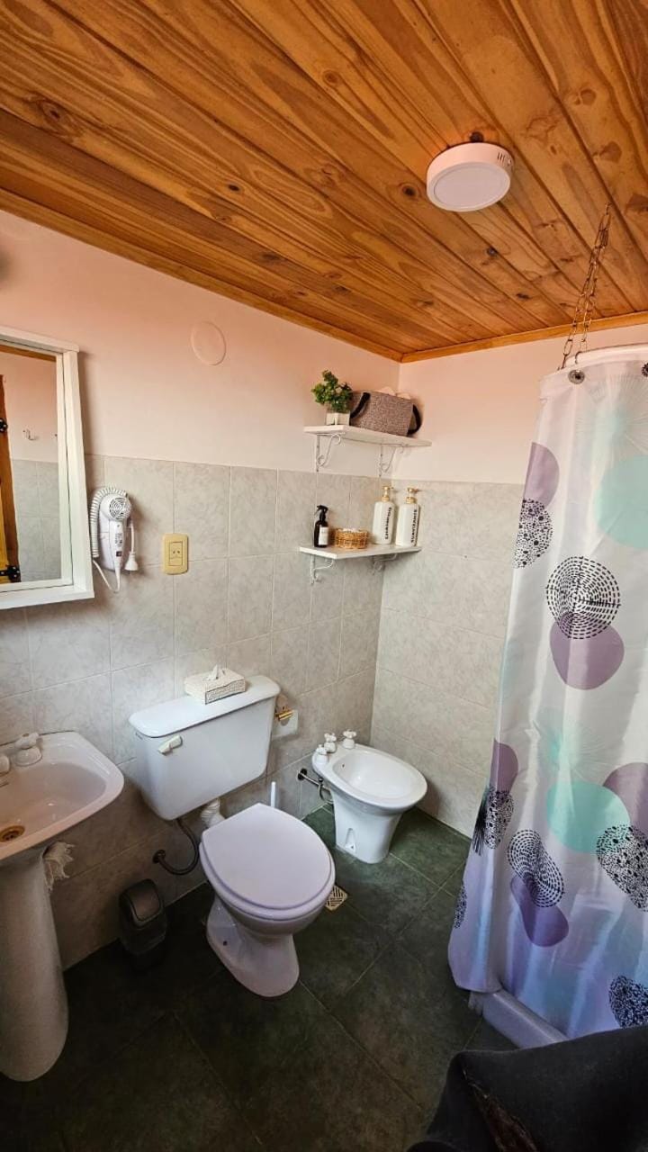 La casita suereña House in Esquel