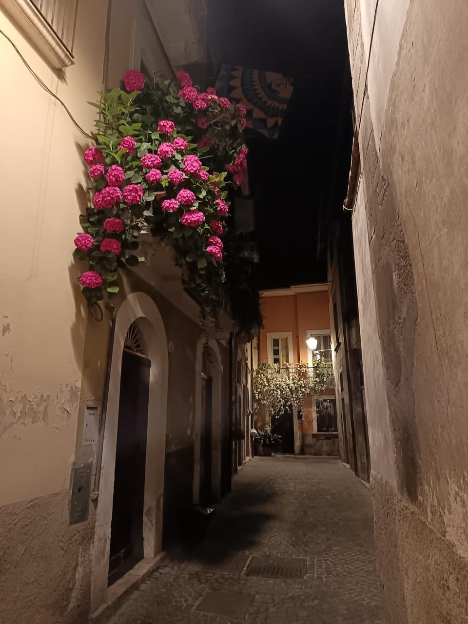 Property building, Night, Neighbourhood, Street view