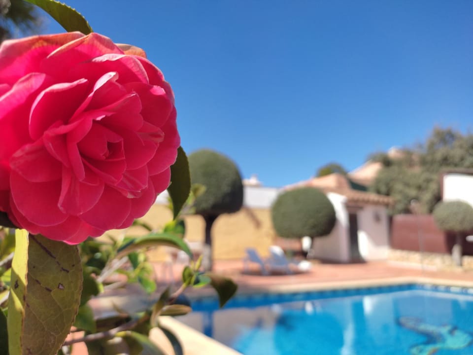 Casa Maleda House in Andalusia