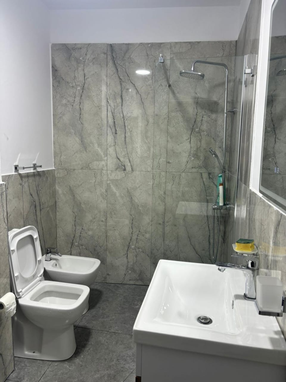 Shower, Toilet, Bathroom, bidet