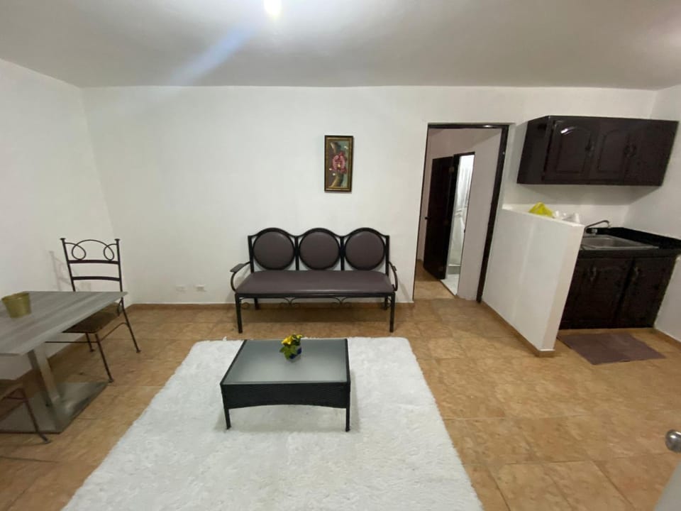 2 Bedroom Studio Wifi - Unbeatable price - Center of Santiago Apartment in Santiago de los Caballeros