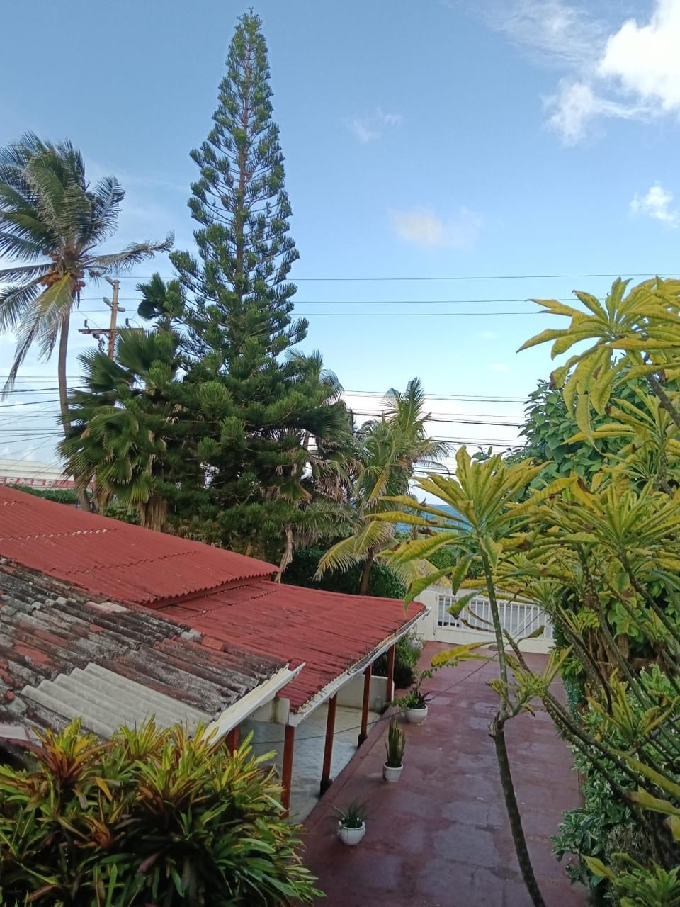 Aptos Miss Ada Apartment in San Andres