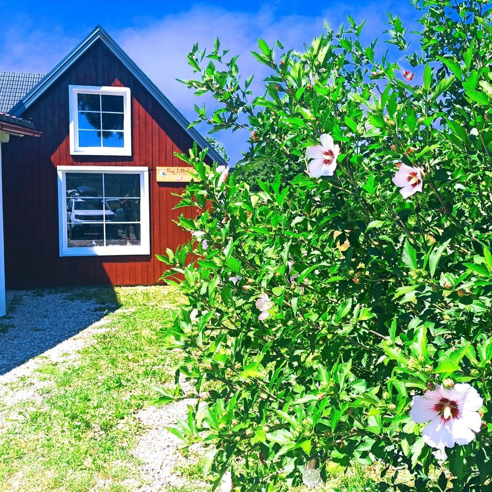 Garden, Garden view