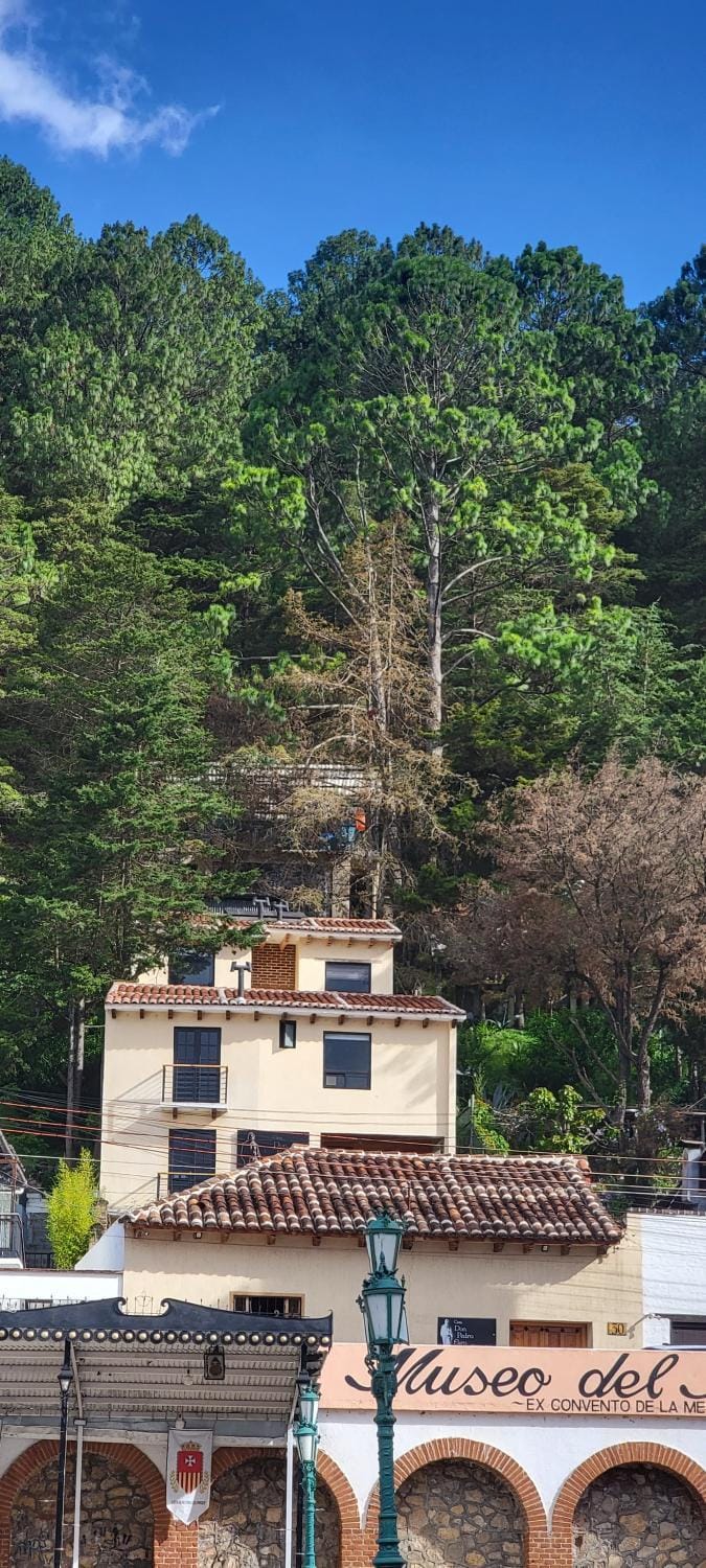 Casa Don Pedro Faro Apartment in San Cristobal de Casas