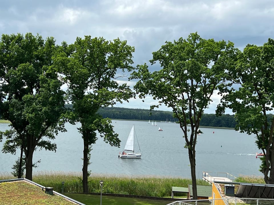 Lake view