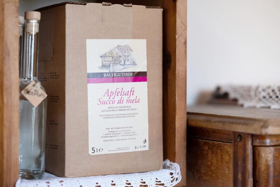 Bachguthof Apartment in Trentino-South Tyrol