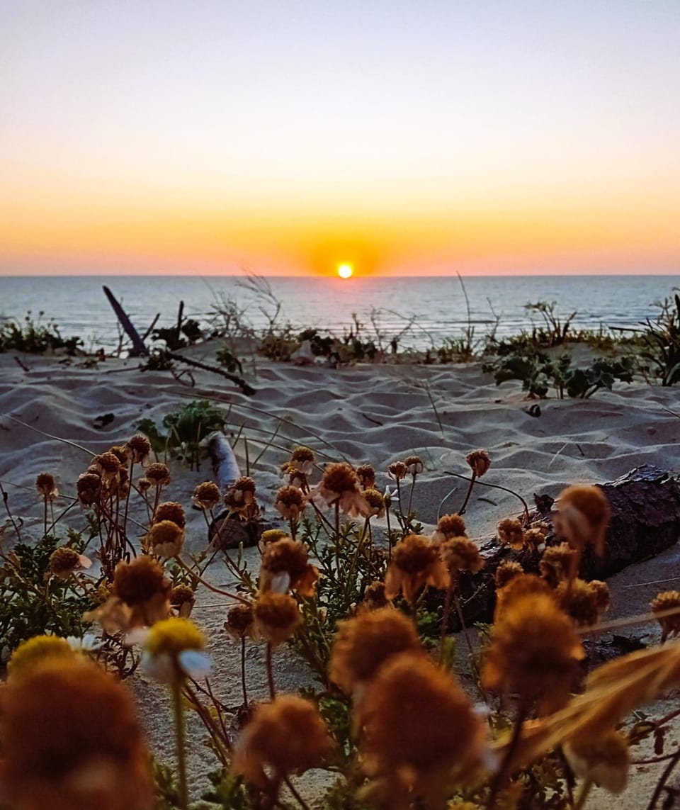 Garden, Sea view, Sea view, Sunset