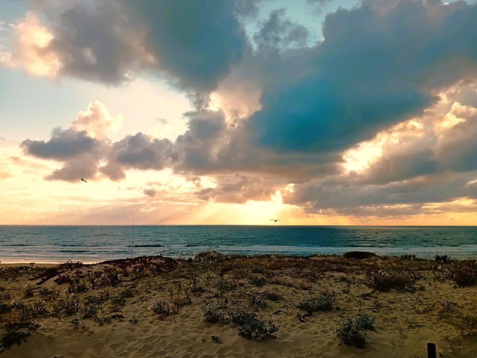 Garden, View (from property/room), View (from property/room), Sea view, Sea view, Sunset