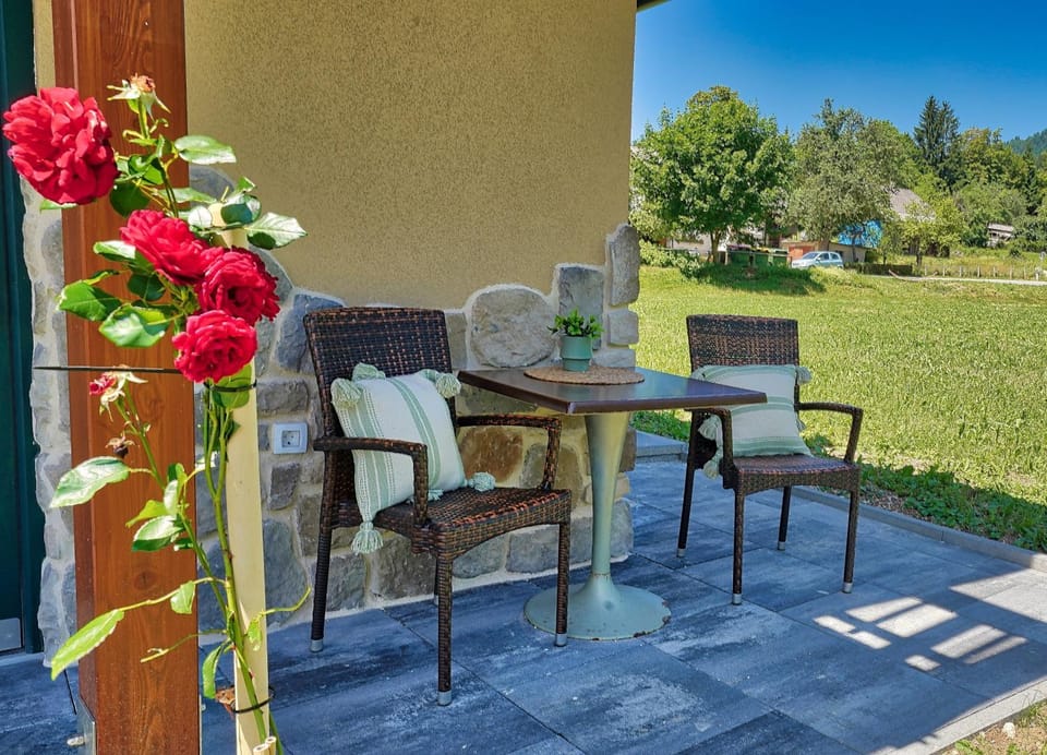 Patio, Day, View (from property/room), Seating area, Garden view