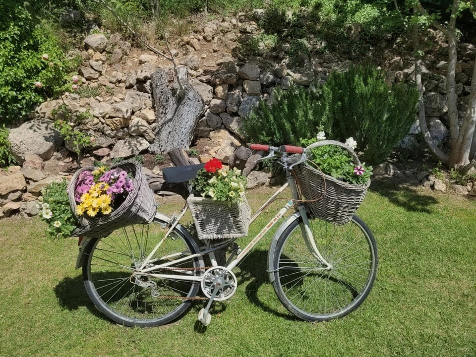 Villa Les palmiers en Provence - Logement cosy 4 pers House in Besse-sur-Issole