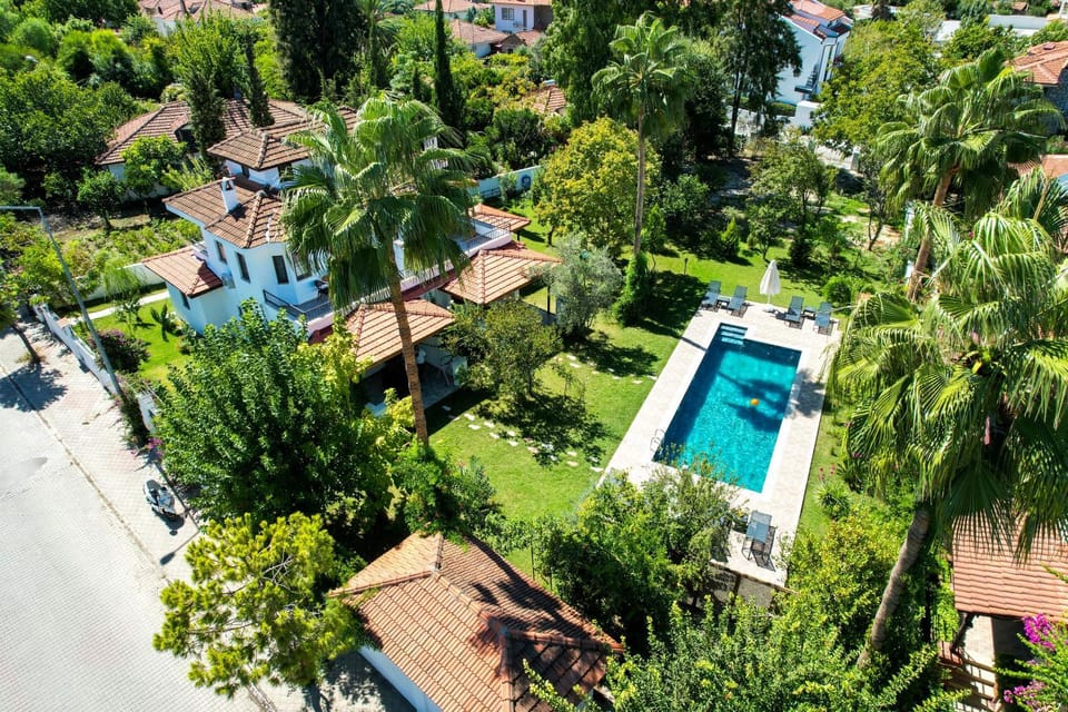 Spring, Day, Natural landscape, Bird's eye view, Garden, View (from property/room), View (from property/room), Garden view, Garden view, Landmark view, Landmark view, Pool view, Swimming pool, Quiet street view, Inner courtyard view, sunbed