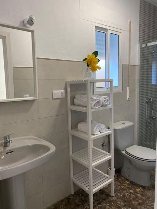 Shower, Toilet, Bathroom, towels