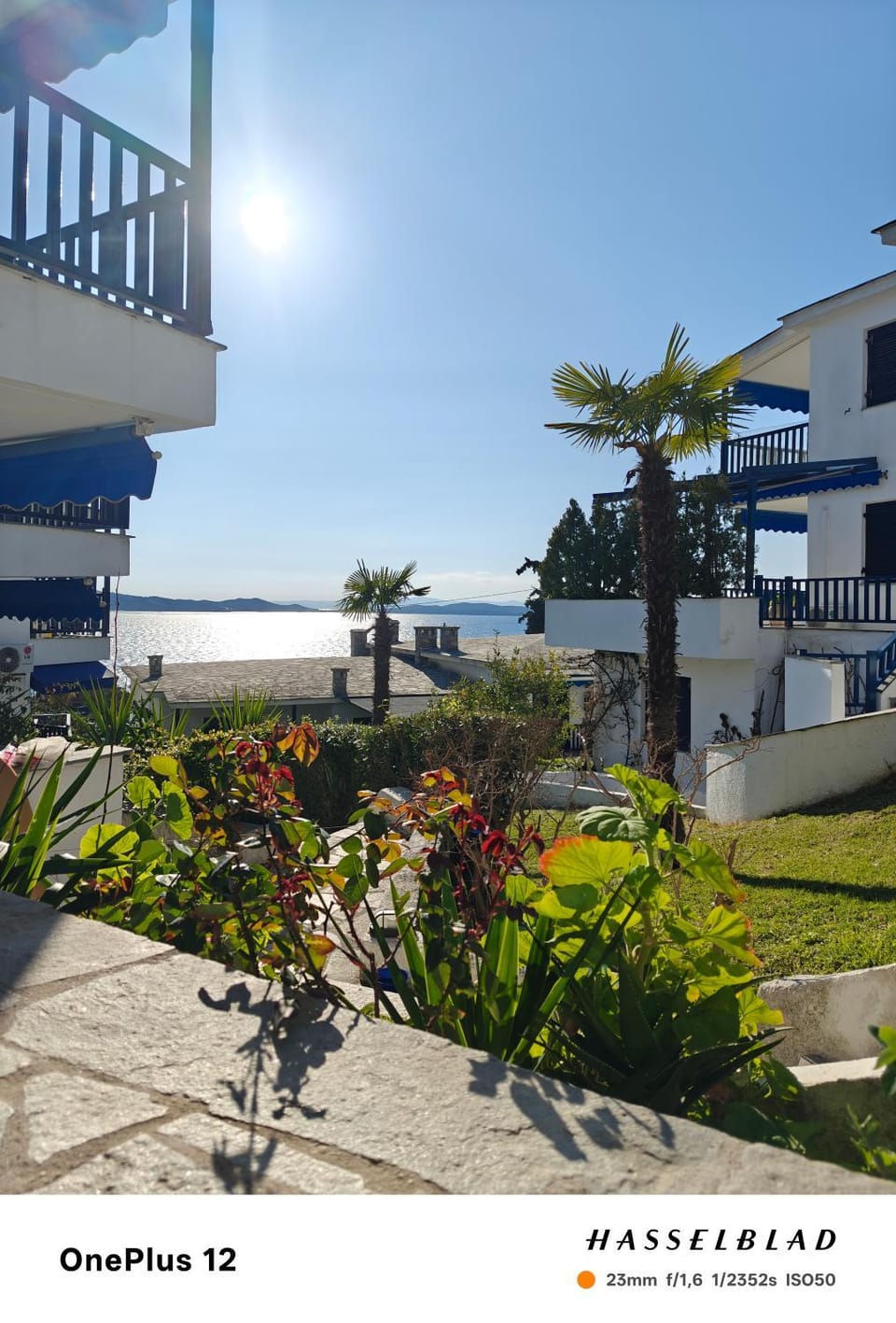 Garden, Sea view