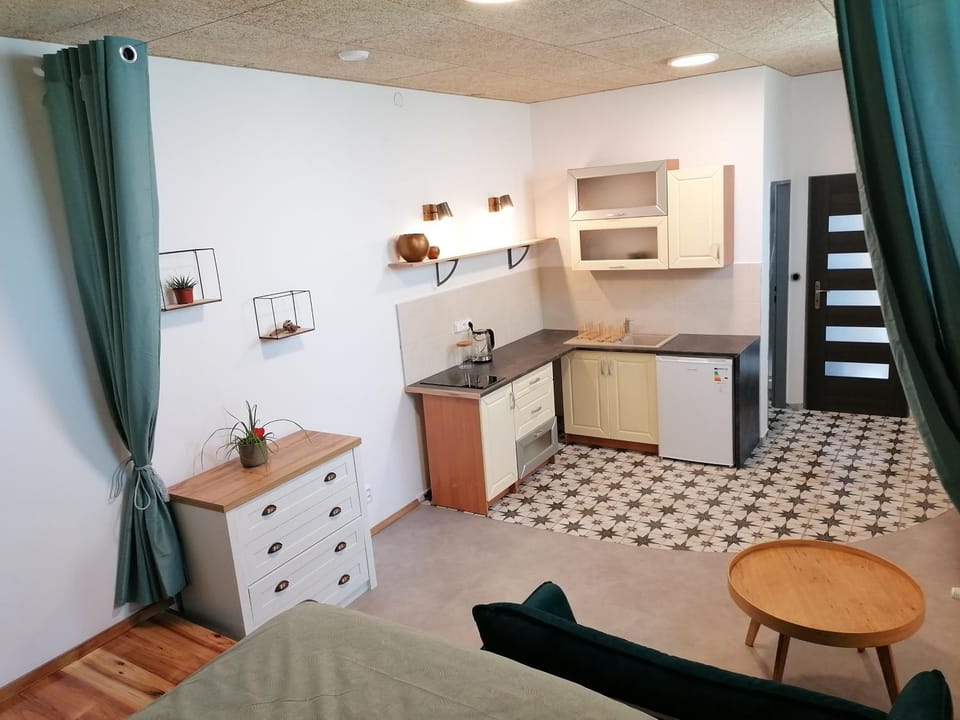 Jizerský Spirit Apartment in Czechia