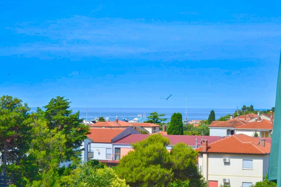 Day, Sea view