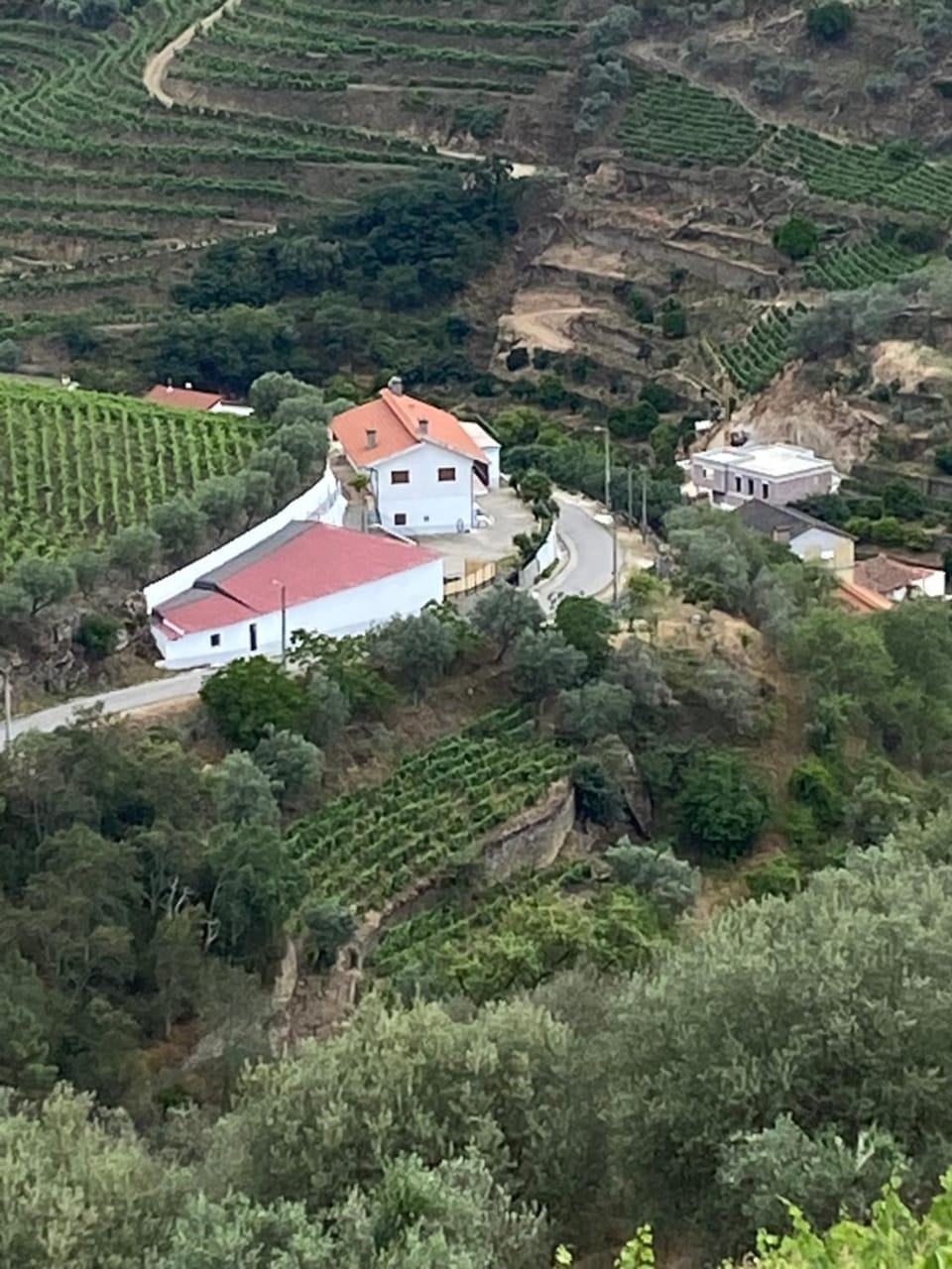 Property building, Bird's eye view