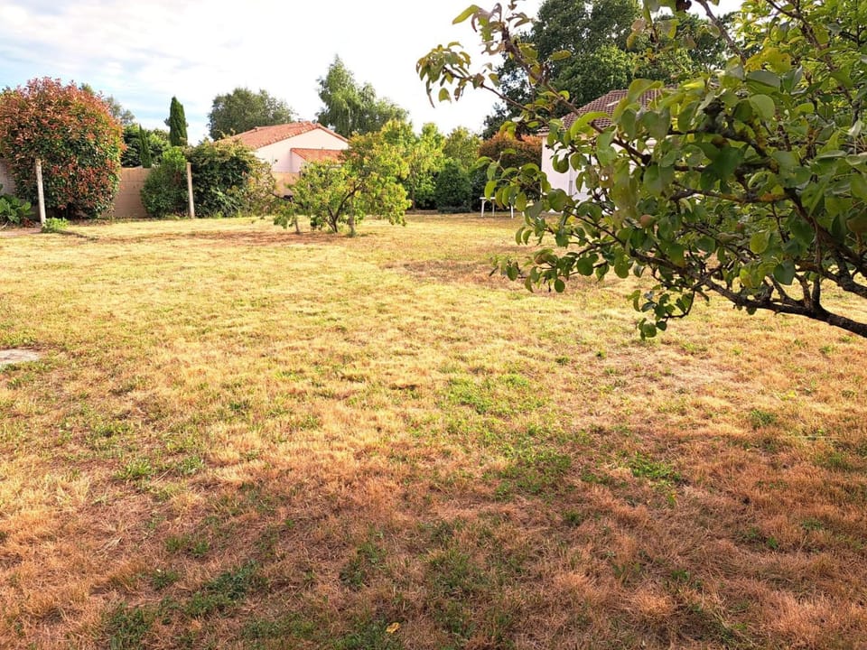 Patio, Garden, Garden view