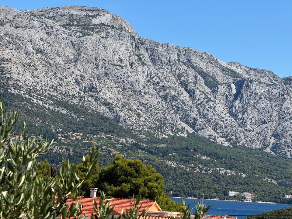 Villa Oliva Korcula Apartment in Korčula