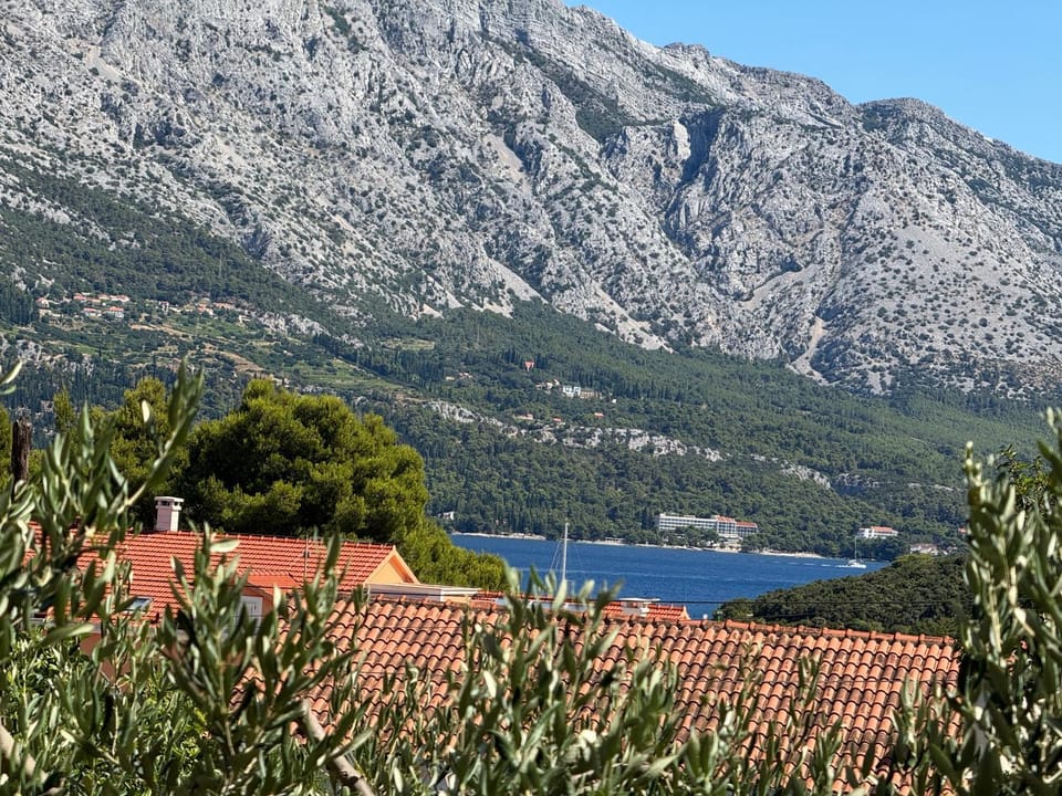 Villa Oliva Korcula Apartment in Korčula