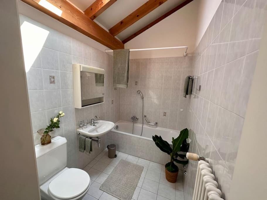 Cozy Ascona: attico mansardato Apartment in Ascona