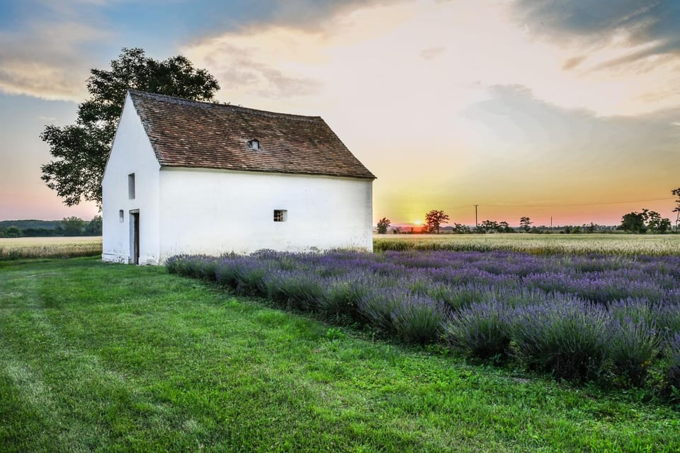 Oreg Parokia Guesthause Bed and Breakfast in Hungary