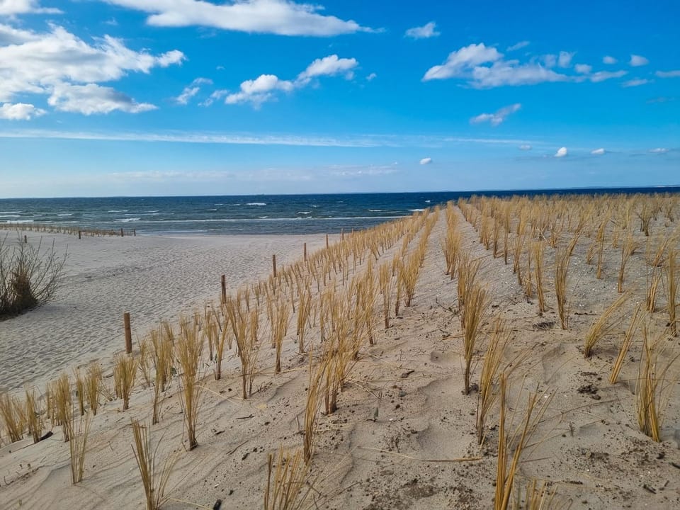 Neighbourhood, Beach, Sea view