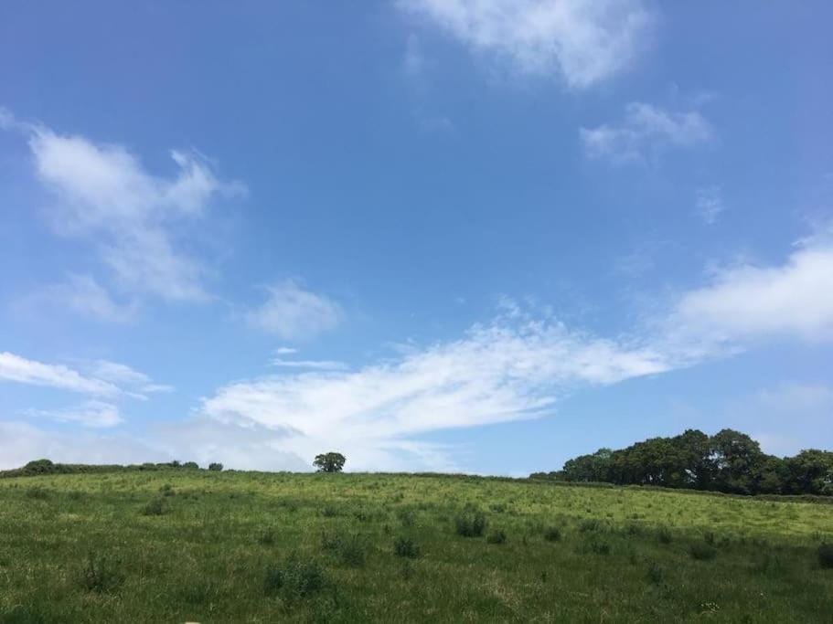 Park Gate, Colyton, farm,near beaches-‘Annie’ Apartment in Colyton