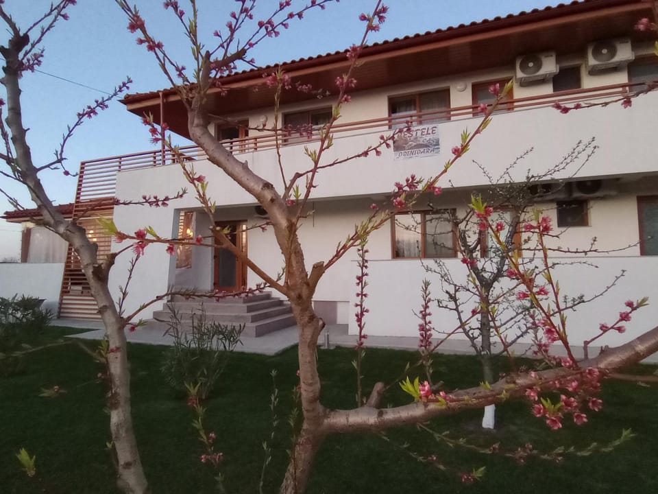Pestele Ca Odinioară Farm Stay in Romania