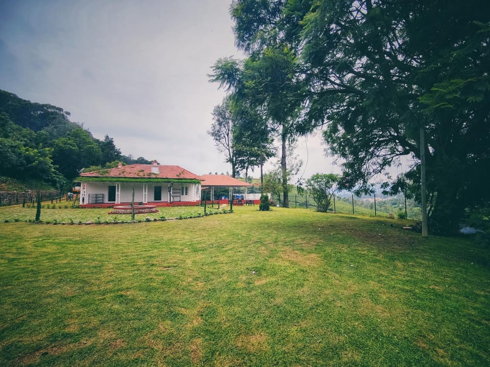 Property building, Natural landscape, Garden view