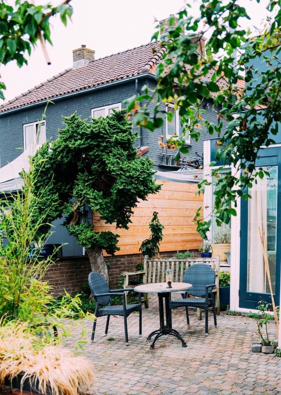 Garden view