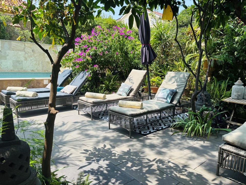 Garden, Balcony/Terrace, Swimming pool, sunbed