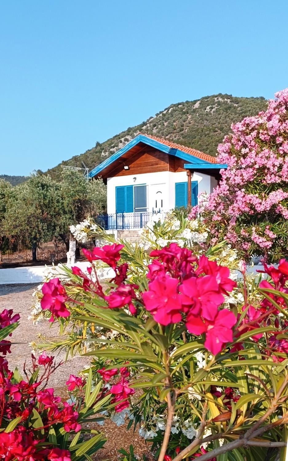 Villas Kiriaki Villa in Thasos
