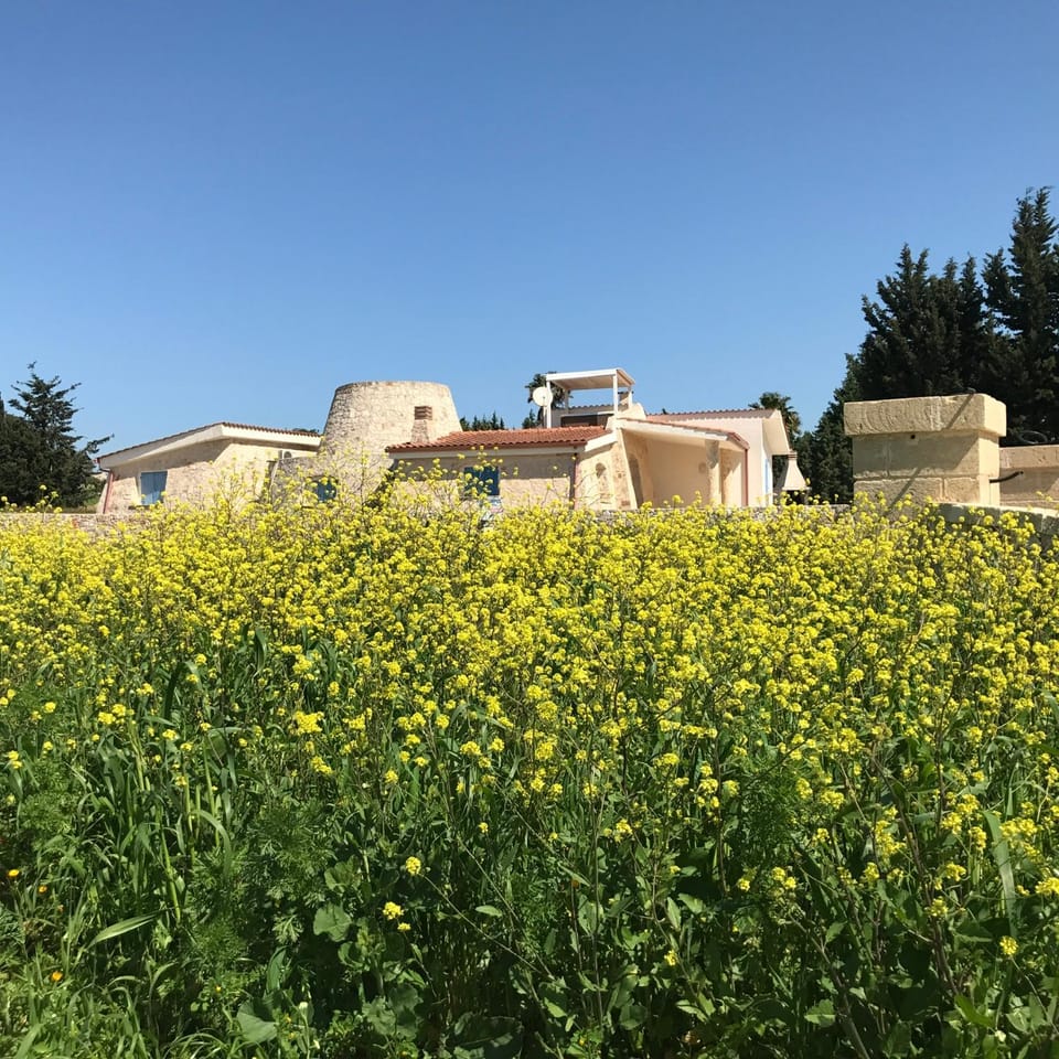 Villa Trullo di Angela Villa in Apulia