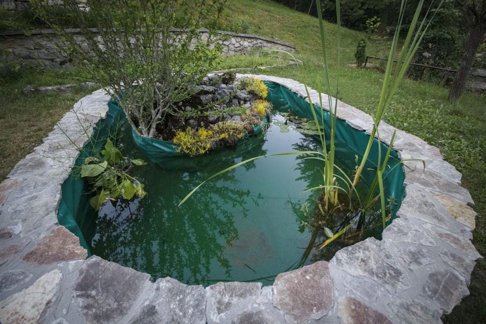 Garden, Garden view